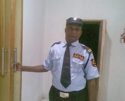 Security Services in Adyar