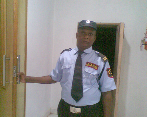 Security Services in Adyar